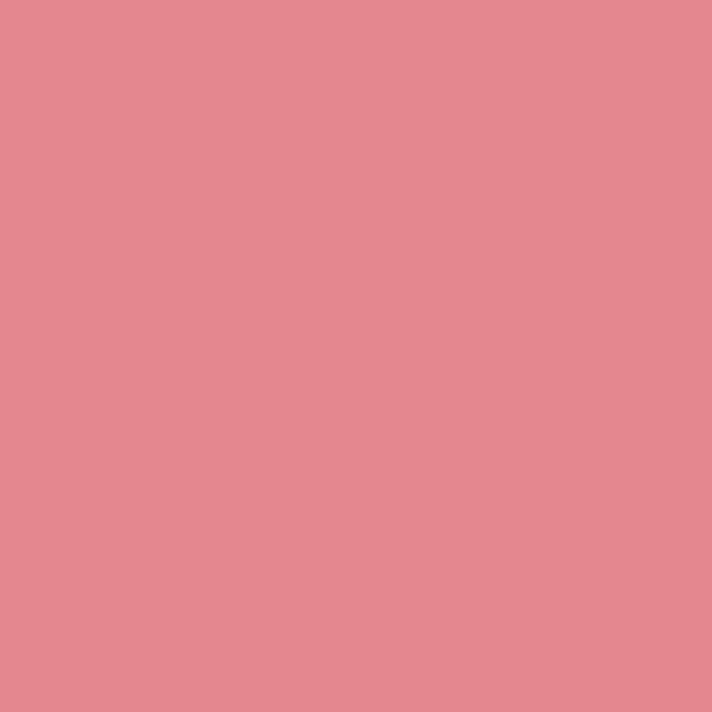 Brush Builder - Cover Pink