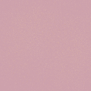 Brush Builder - Glitter Nude