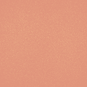 Brush Builder - Glitter Warm Nude