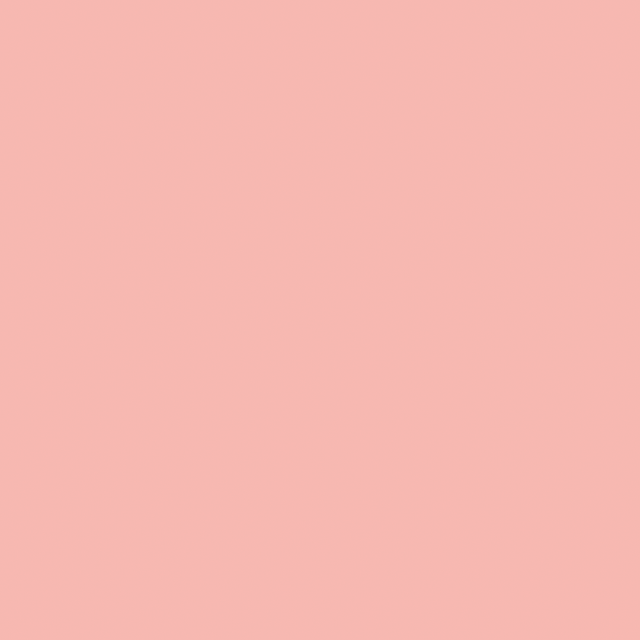 Brush Builder - Peach Pink