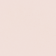 Brush Builder - Shimmer Pink