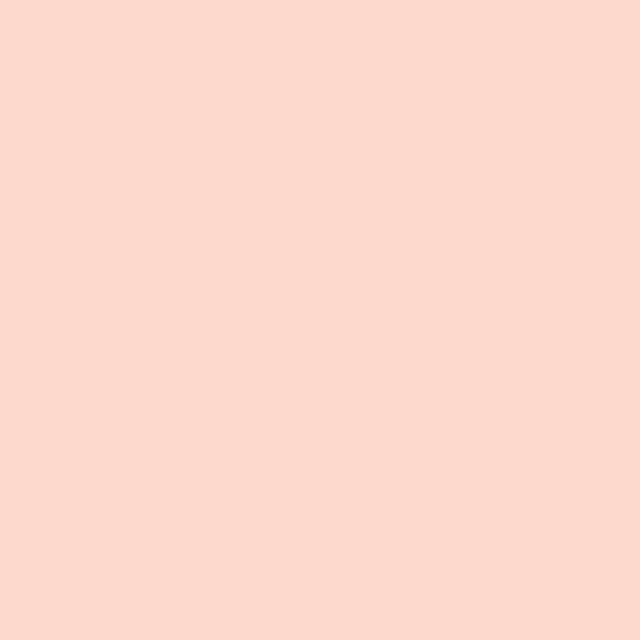 Brush Builder - Soft Nude
